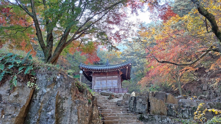  현지인들이 즐겨 찾는 경주 단풍 명소 용담정