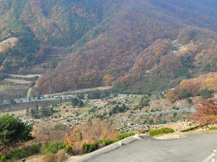 경기도 용인 서울공원묘원 시설+가격 안내(서울장묘산업)