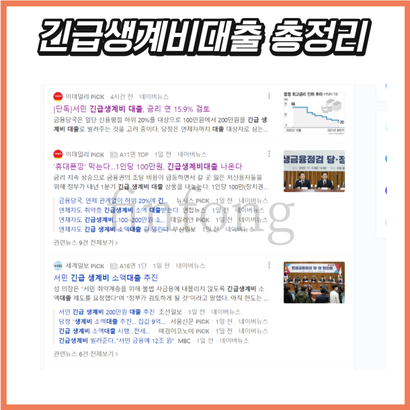 정부긴급생계비대출:소액계비대출