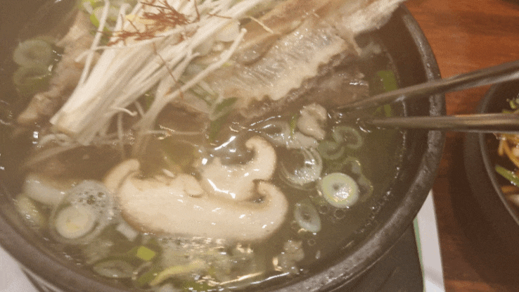  계산동 삼계탕 맛집 경희보궁 계양구청점 몸보신 하러 가요