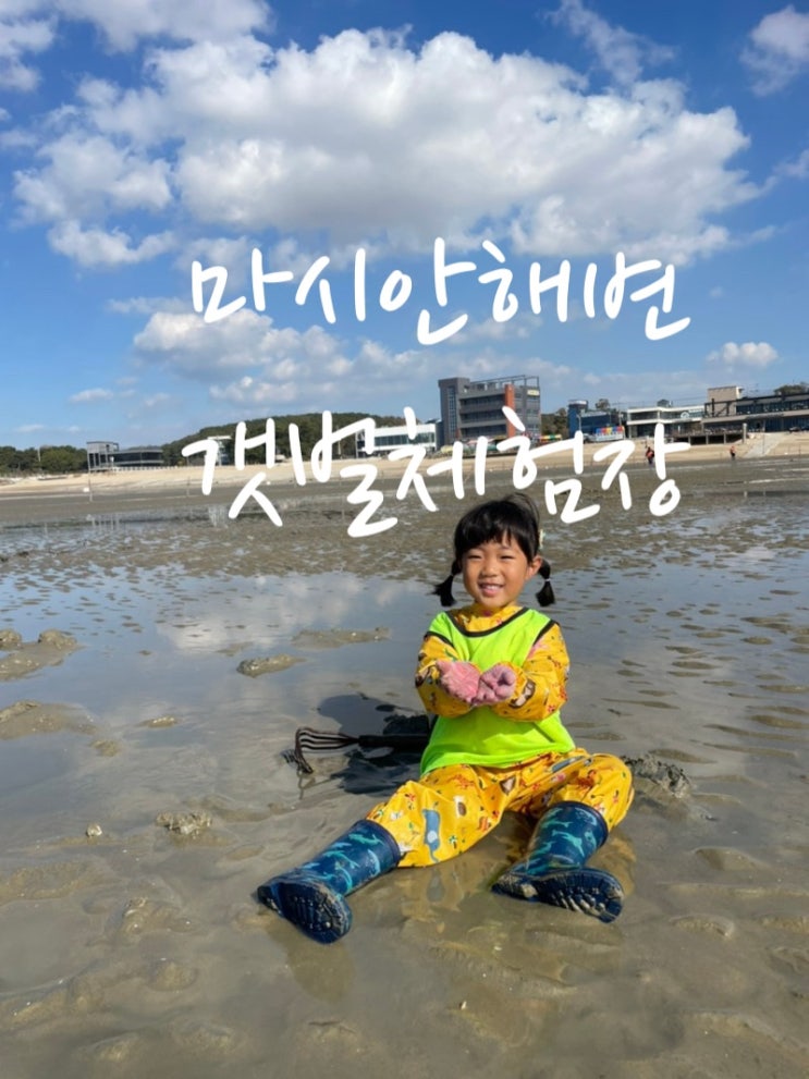  영종도 가을 4세아이 갈만한곳 준비물 내돈내산 꿀팁 ️마시안해변 갯벌체험장
