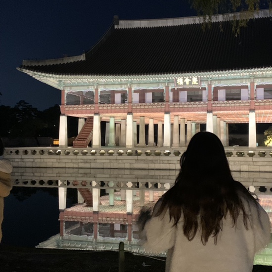 주간일기 : 11월 1주