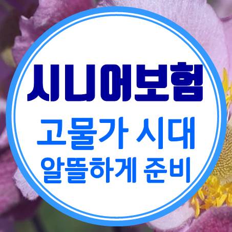  고물가 시대, 알뜰하게 시니어보험 갖춰두자.