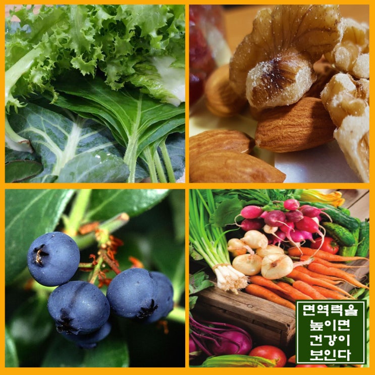  겨울철 건강 관리, 면역력을 높이자
