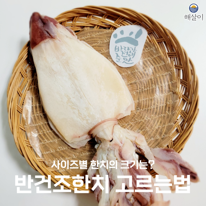 반건조한치, 어떤 사이즈가 맛있어요?
