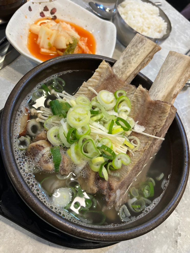 [대구] 범어역 근처 mbc 네거리 맛집 ‘제형옥'