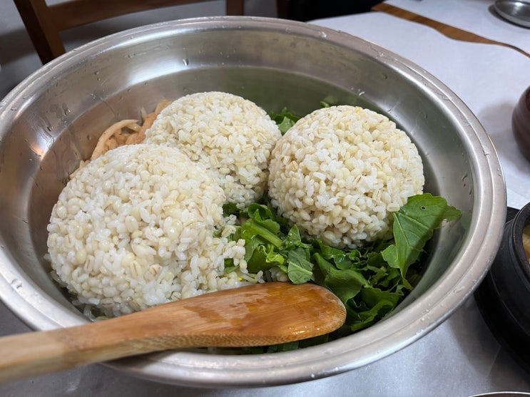 [대전 유성구 맛집] 솔밭묵집에서 보리밥과 채묵 먹었어요.