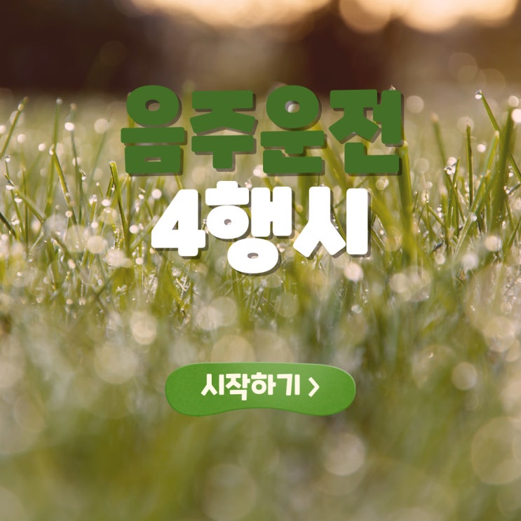  음주운전 4행시(사행시)
