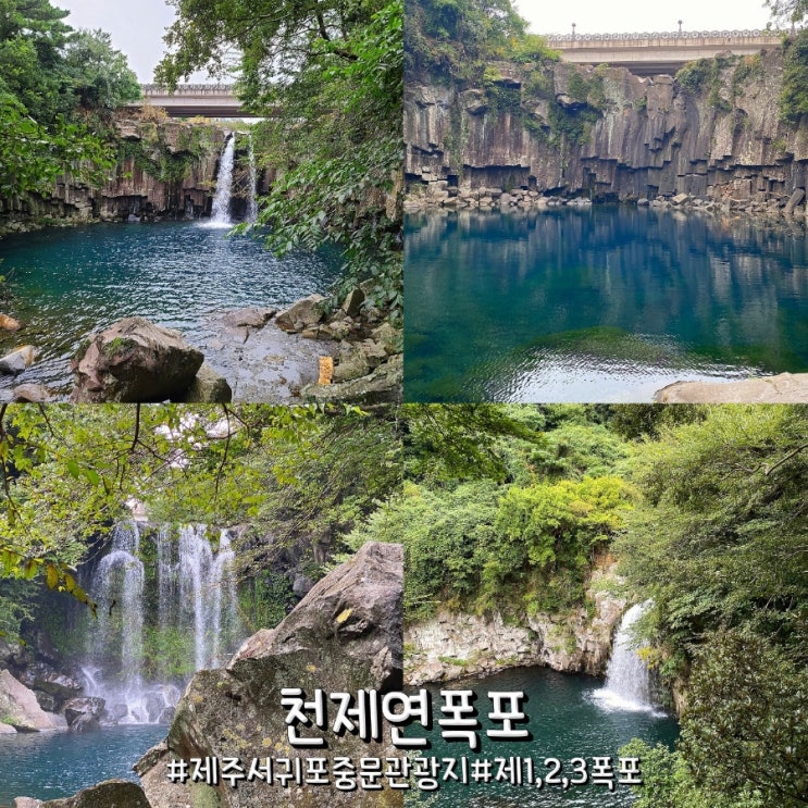 제주 서귀포 중문 관광지 여행하기 좋은 천제연폭포 꿀팁 및 동영상 후기!