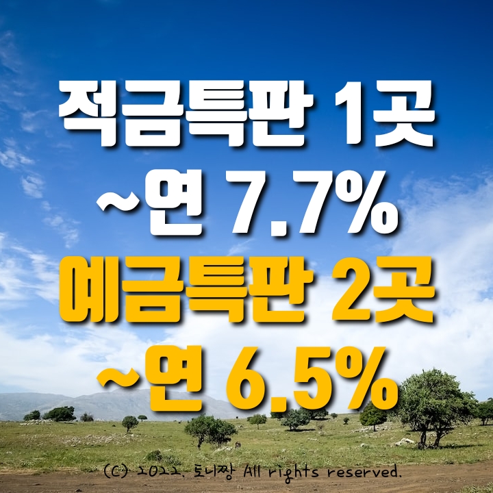 예금특판 2곳 ~연6.5%, 적금특판 1곳 ~연7.7% 강릉원예농협, 직산농협, 새진주신협 예금특판 2곳 ~연6.5%, 적금특판 1곳 ~연7.7% 강릉원예농협, 직산농협, 새진주신협