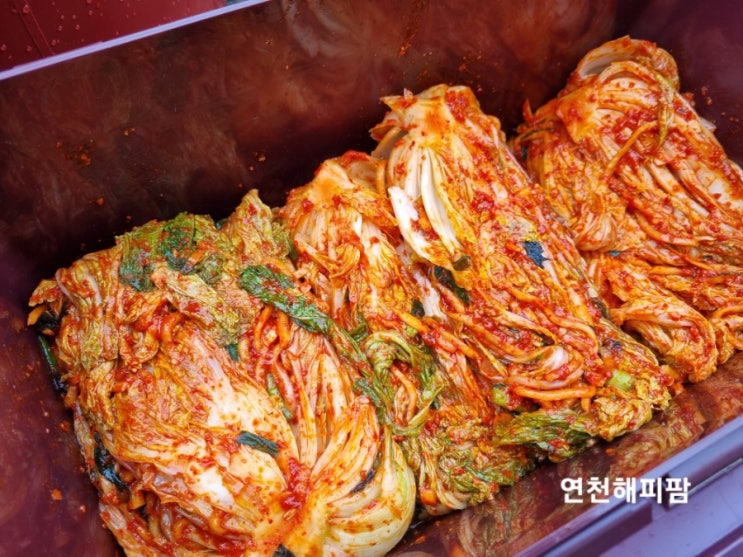  2022 해피팜네 김장하는날