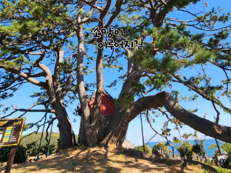  #기장죽성리 #인천서구보현사