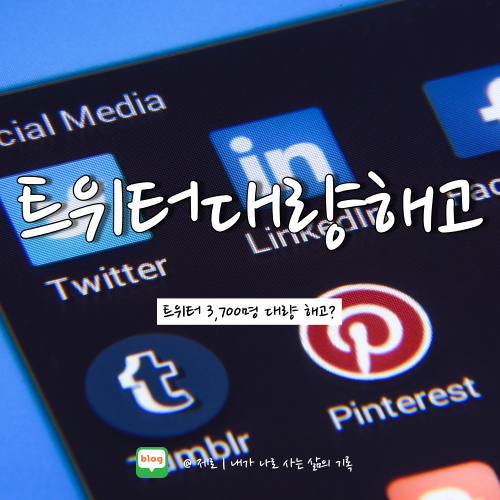  일론 머스크 트위터 3,700명 직원 대량 해고 트위터 주가 하락