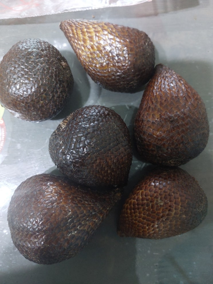  조호바루-사피과/snake fruit