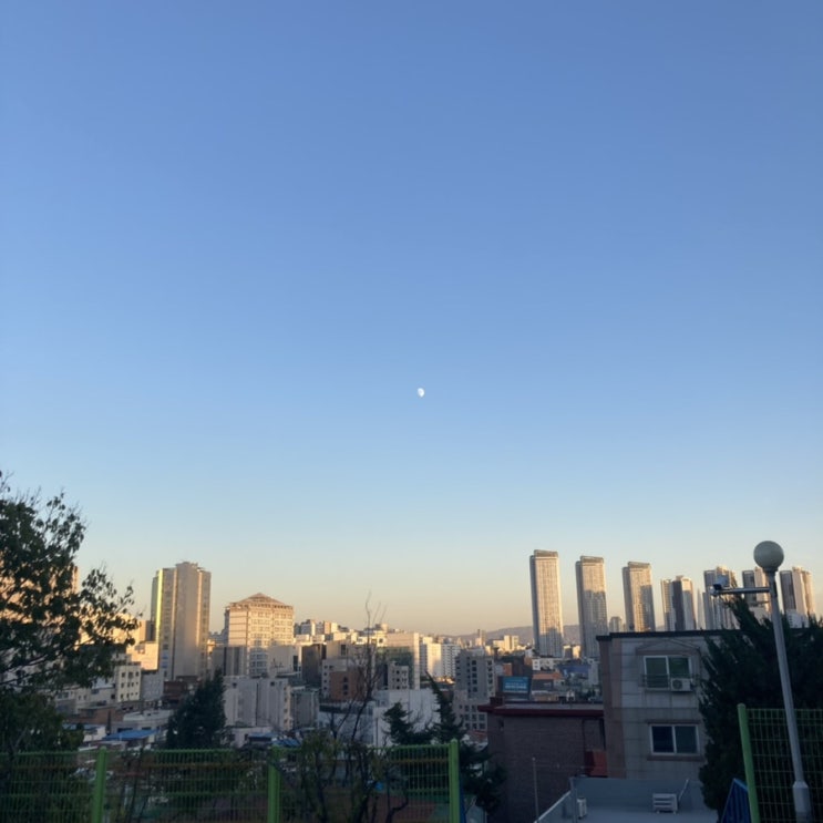  [11/4~11/9] 기지트, 세계테마기행, 절, 디벗 연수, 축사를 쓰자, 미세먼지 너무 싫어.