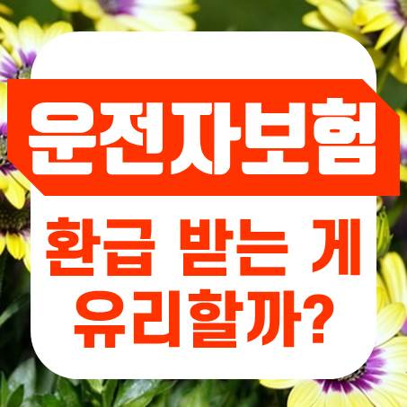  만기가 되었을 때 운전자보험 환급 금액을 받는 쪽이 유리할까?