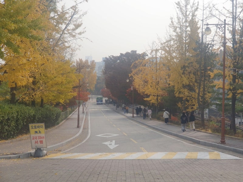 [워킹맘의 쉼] 오랜만에 걸어본 가을날의 성균관대학교(feat.학식)