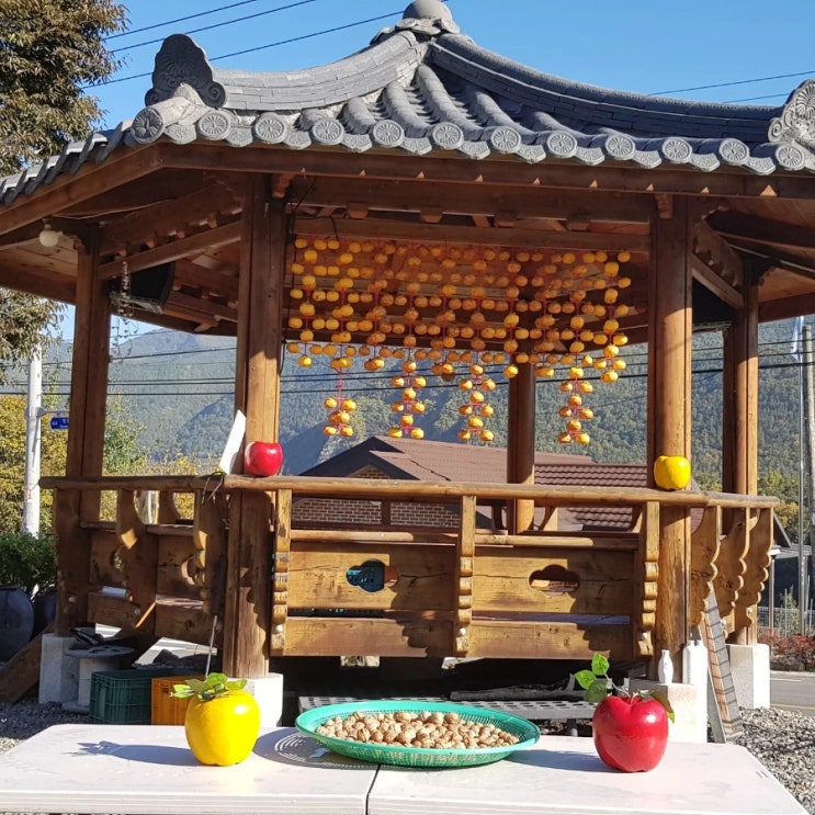 청송꿀사과농장