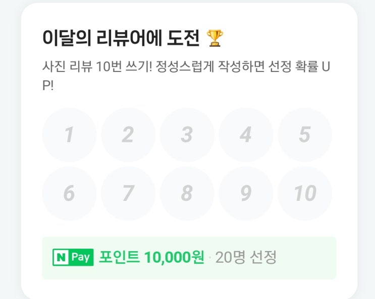  11월 2주 주간일기 챌린지