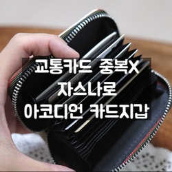 교통카드중복인식 방지되는 자스나로 아코디언카드지갑