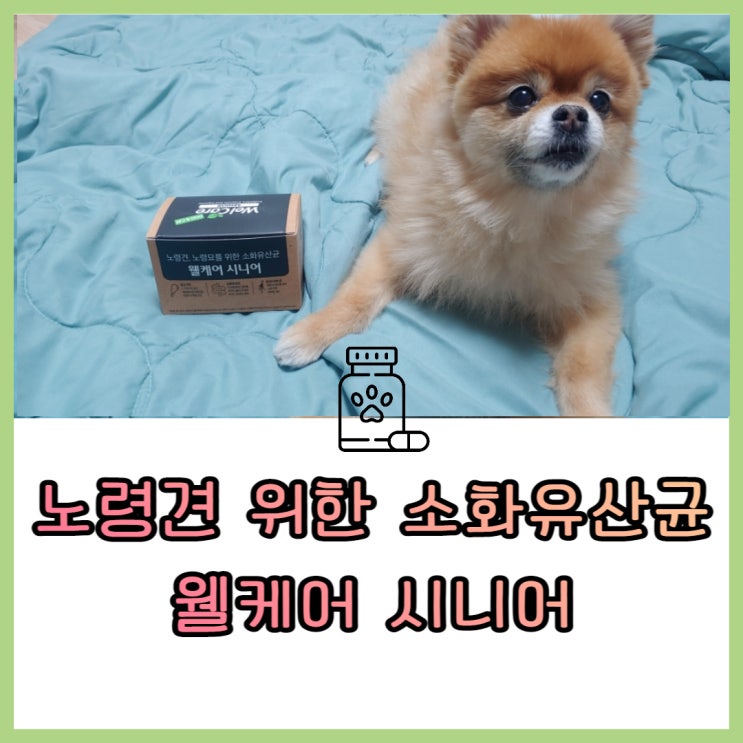  노령견유산균 웰케어 시니어 로 관리해요