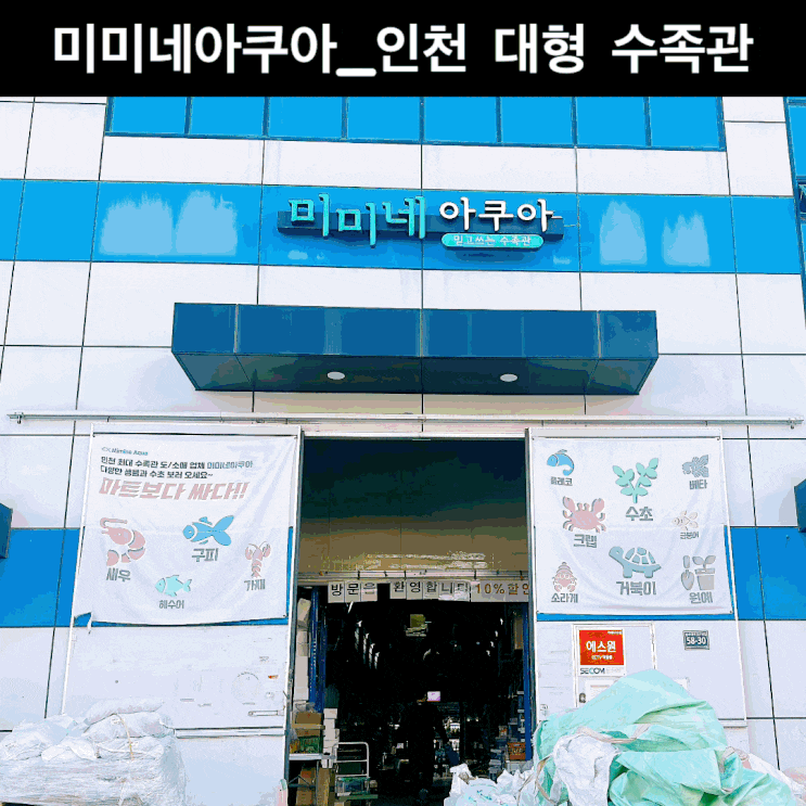  미미네아쿠아_인천 대형 수족관