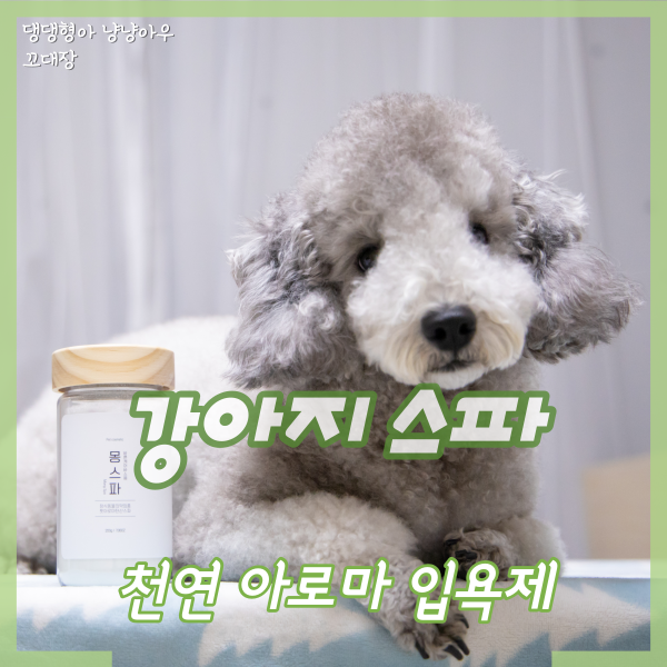  강아지 입욕제, 몽스파 보습제로 가려움증 날려버리개