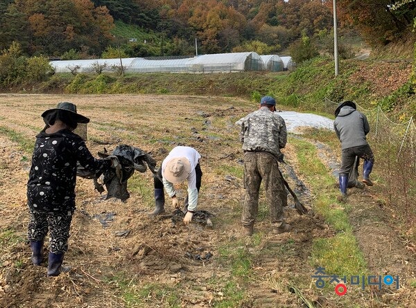 옥천군 생산적 일손 긴급지원반, 일손 부족 농가에 큰 힘