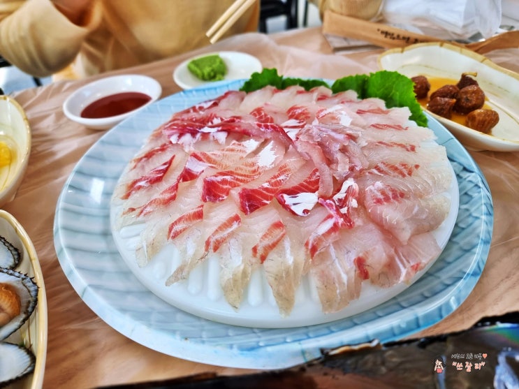  목포회센터 선희네횟집 신선해요