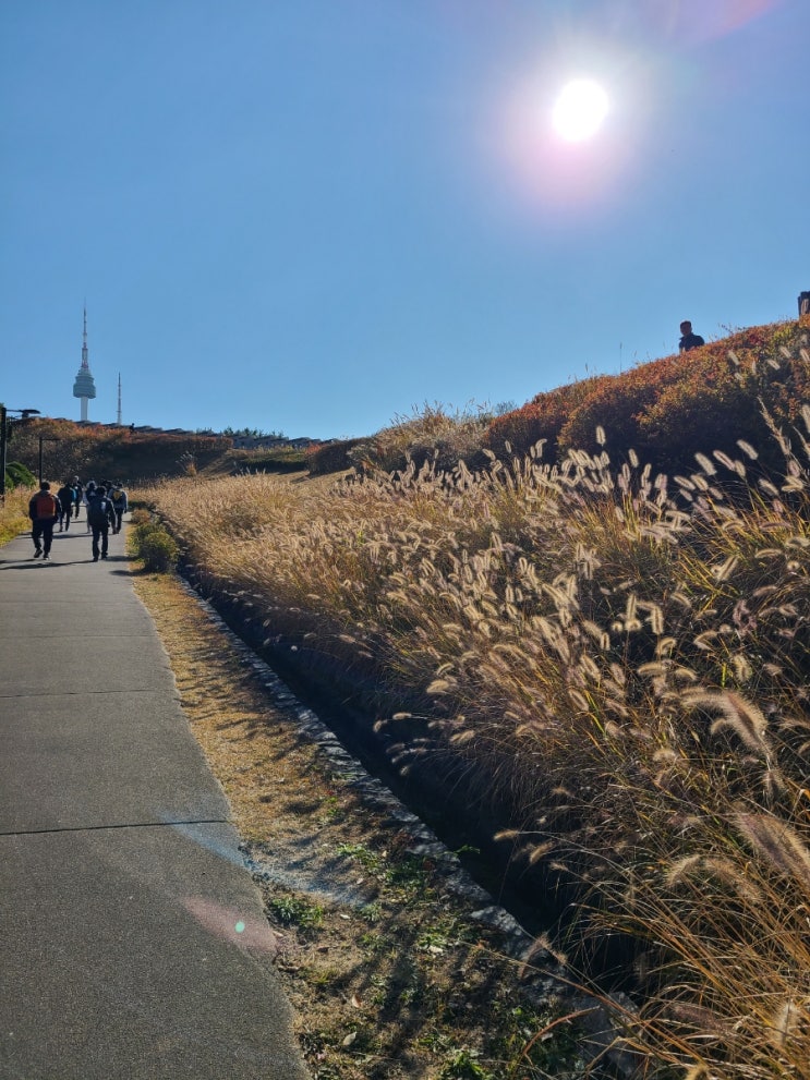  11월 서울 가볼만한곳 남산공원 백범광장