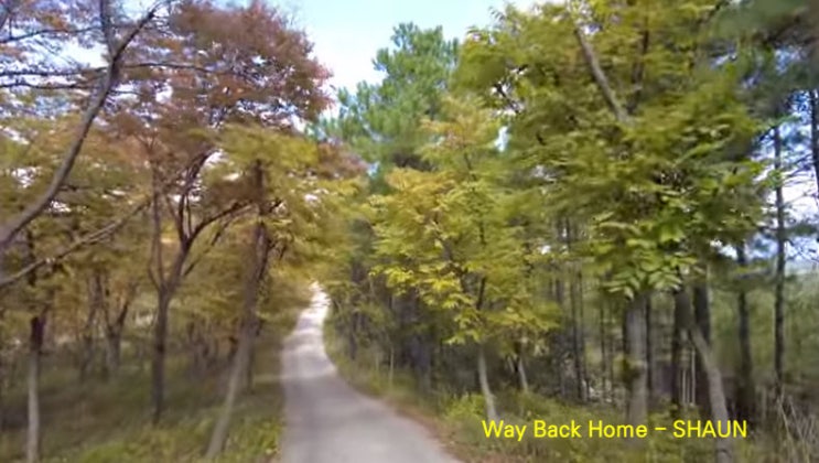 Way Back Home - SHAUN Way Back Home - SHAUN