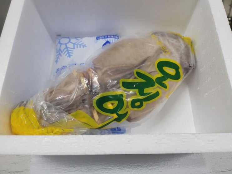  동해안 신선한 당일 조업 반건조 오징어 10마리 피데기 산지 직송