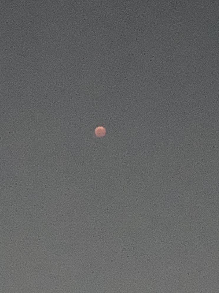  개기월식