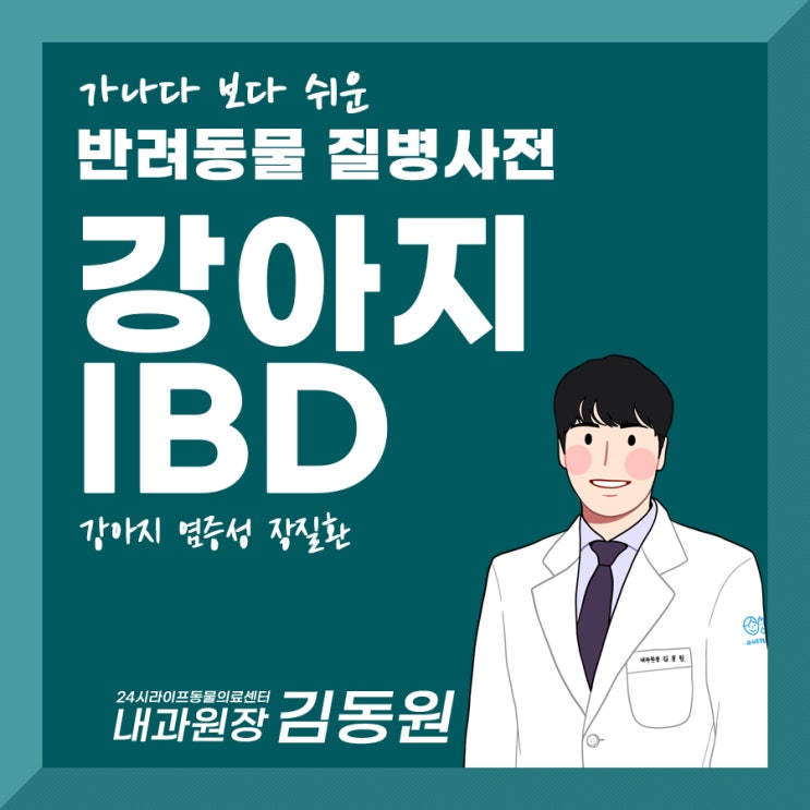 대구 24시 동물병원 : 강아지 IBD, 염증성 장질환 / 강아지 만성 설사 치료 및 관리방법