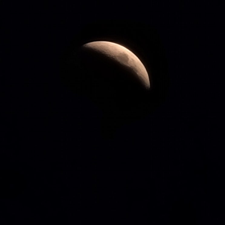  주간일기 챌린지 23번째 [개기월식, 출장준비]