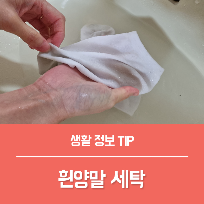  흰양말 세탁 락스 과탄산소다 빨래 외 3가지