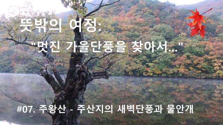 #07. 주왕산 - 주산지의 새벽 단풍과 물안개 #07. 주왕산 - 주산지의 새벽 단풍과 물안개