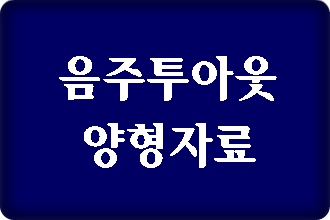 음주운전 투아웃 양형자료 음주운전 투아웃 양형자료