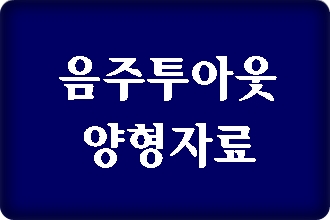 음주운전 투아웃 양형자료