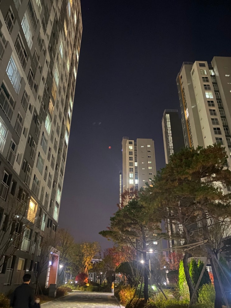 집순이 집돌이 개기월식 관찰기 집순이 집돌이 개기월식 관찰기