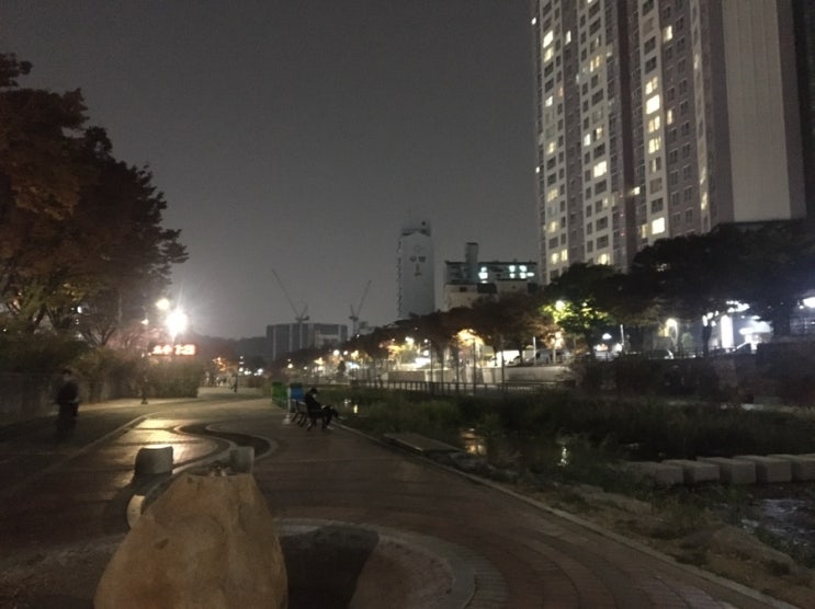  30분 달리기 능력 향상