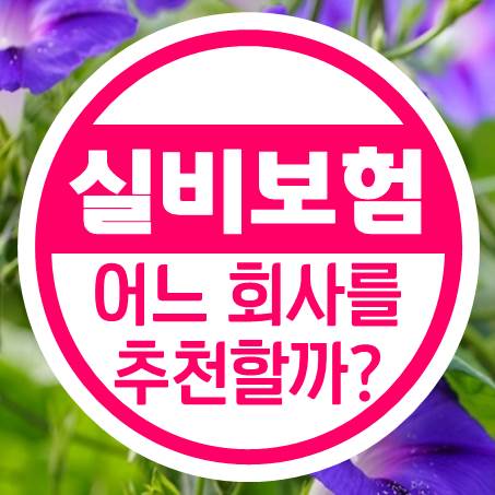  만약 지금 75세실비보험 추천 한다면 어느 회사로?