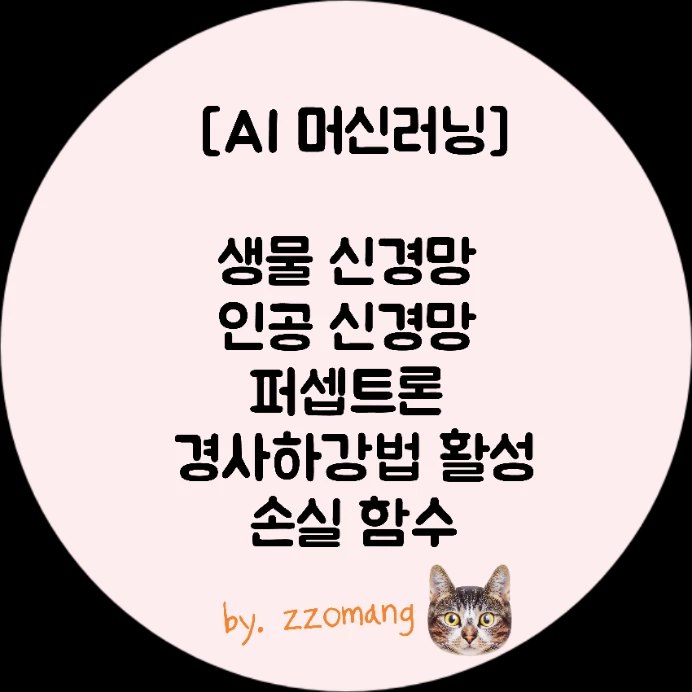  AI 머신러닝 생물 신경망 인공 신경망 퍼셉트론 경사하강법 활성,손실 함수
