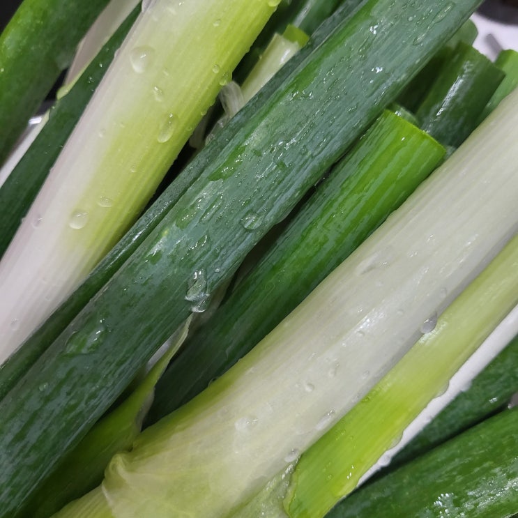  [내돈내산] 국내산 절단 손질대파, 500g, 1봉 /  쿠팡 로켓프레시 새벽배송