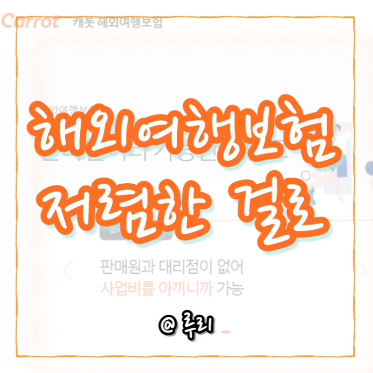  여행준비8. 해외여행자보험 가입(ft. 캐롯)