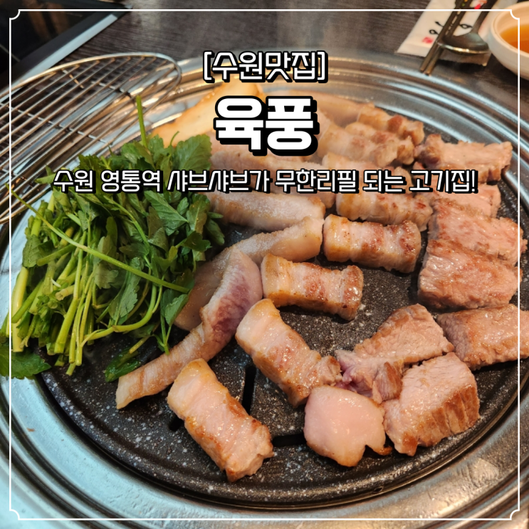  수원 맛집 영통역 고기집 육풍