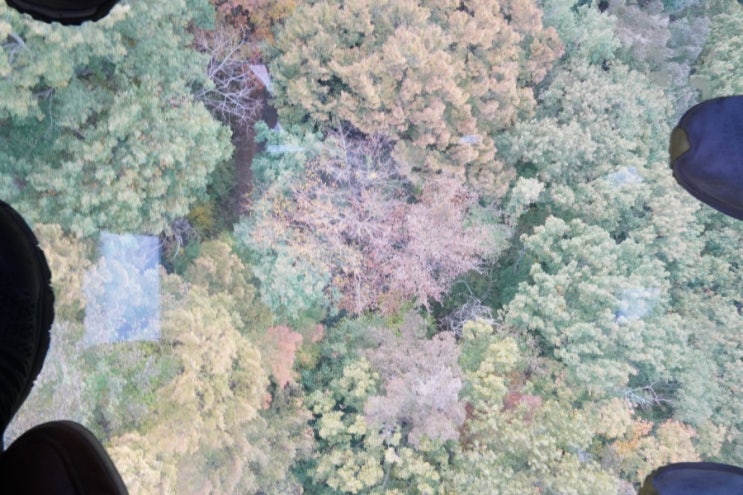  거제도 가볼만한 곳 거제 파노라마 케이블카 이용요금 및 운행시간 정보. 노자산과 바다를 가슴에 품다.