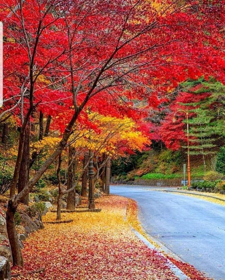  《136》실천할 일들 _ 365일 동안  하루에 한 꼭지씩_단순함