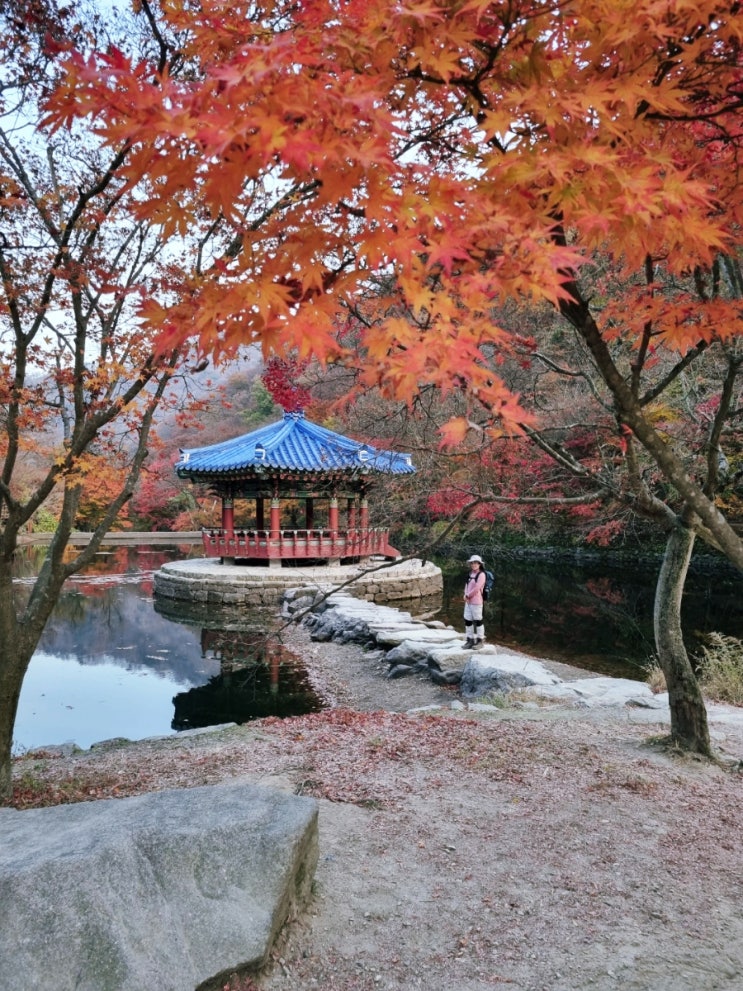  221106 백암산+ 내장산 연계산행(들머리:구암사)