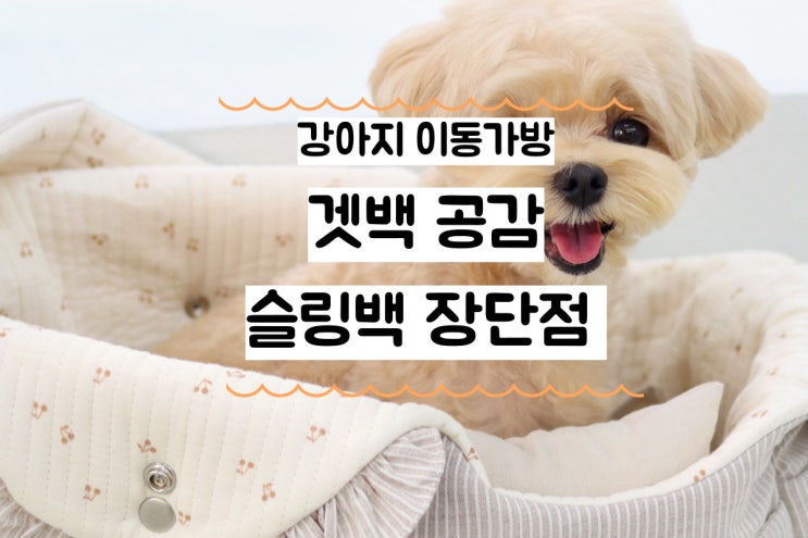  겟백 공감 라운드 실사용 후기, 할인정보